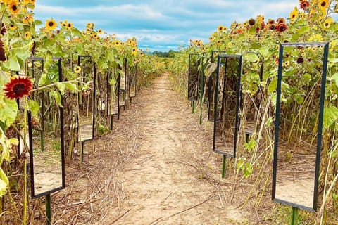Historic Farm Cottage on 800-Acre Orchard Country House in Kentucky