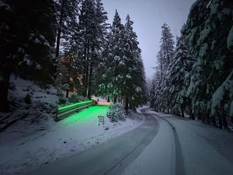 Night, Neighbourhood, Natural landscape, Winter