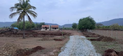 Natural landscape