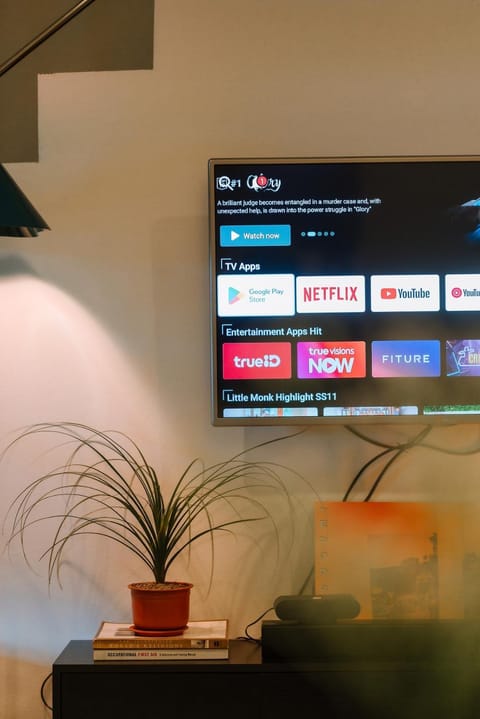 TV and multimedia