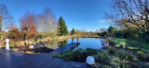 Natural landscape, Garden view