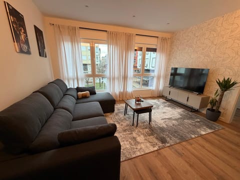 TV and multimedia, Living room