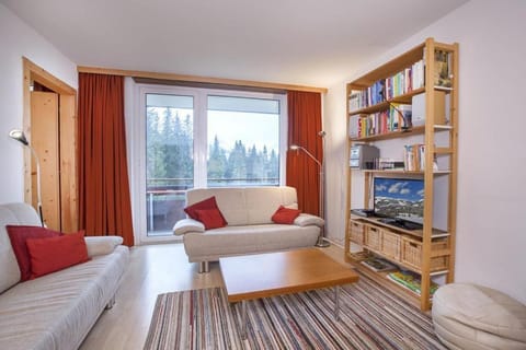 Wiesberger 62 Top 11 Apartment in Salzburgerland