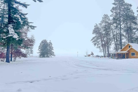 Chickadee Cabin Cabin in St Germain