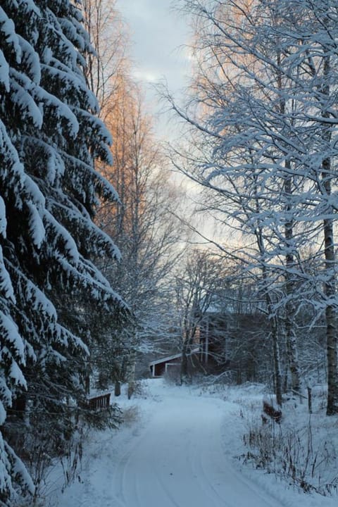 Property building, Natural landscape, Winter