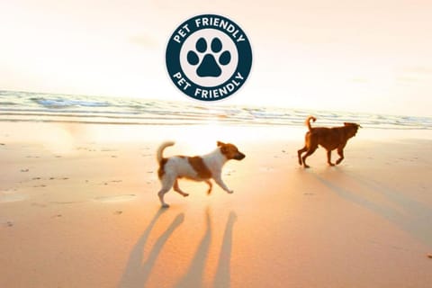 Seaside Veranda 7 - Steps to Beach, Pet-Friendly, Pool, Fast WiFi Apartment in Pass Christian