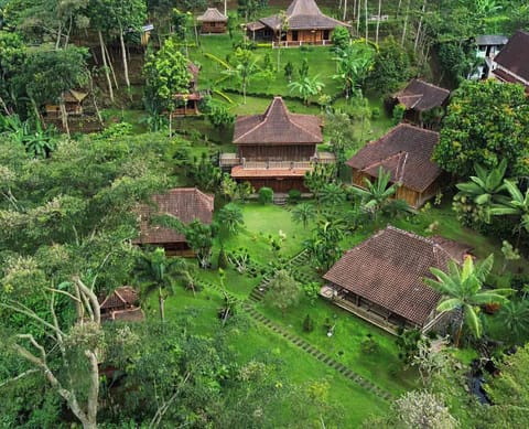 Natural landscape