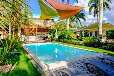Garden, Garden view, Pool view, Swimming pool, sunbed