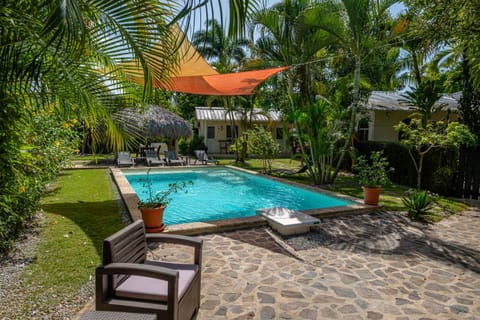 Garden, Seating area, Swimming pool, sunbed