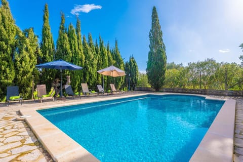 Swimming pool, sunbed