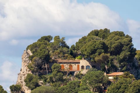 Natural landscape