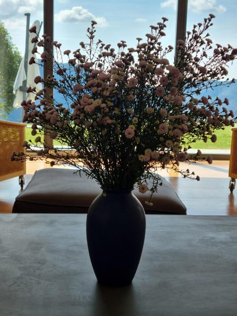 Villa Citriodora Villa in Cernobbio