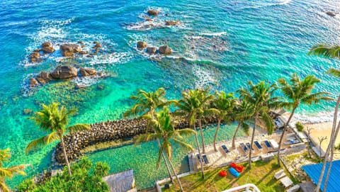 Natural landscape, Bird's eye view, Garden, View (from property/room), Beach, Landmark view, Pool view, Sea view, Swimming pool