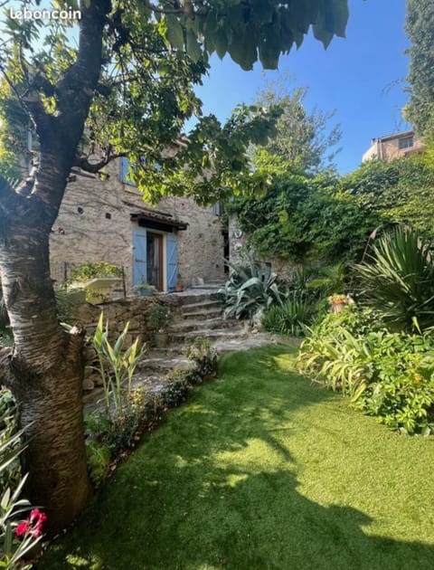 Garden, Garden, Garden view