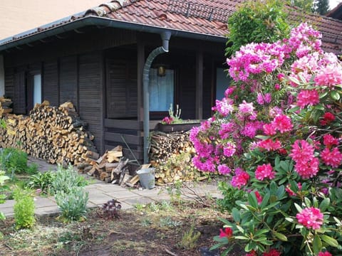 Property building, Spring, Garden, Garden, Garden view