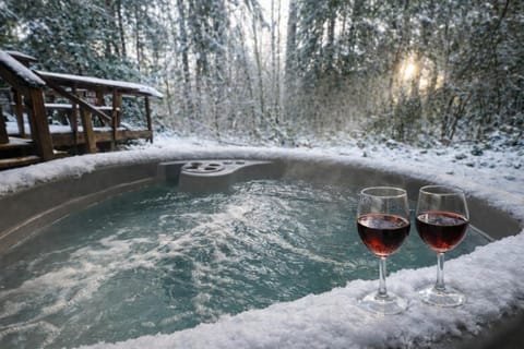 Serenity A Frame House in Ashford