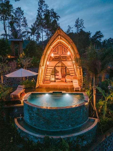 Night, Natural landscape, Garden, Hot Tub, Garden view, Pool view, Swimming pool