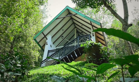 Property building, Natural landscape, Garden, Garden view