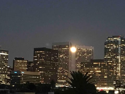 Fara UCLA Apartment in Westwood