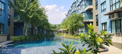 Garden, Swimming pool