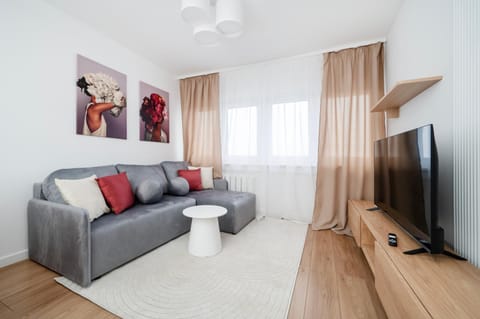 TV and multimedia, Living room, Seating area, Evening entertainment