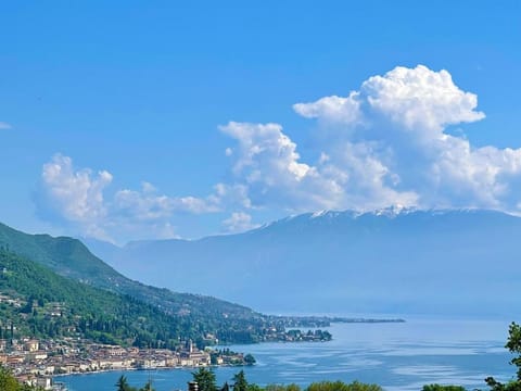 D1MORA Fiorita - Villa PET FRIENDLY with lake view Villa in Province of Brescia