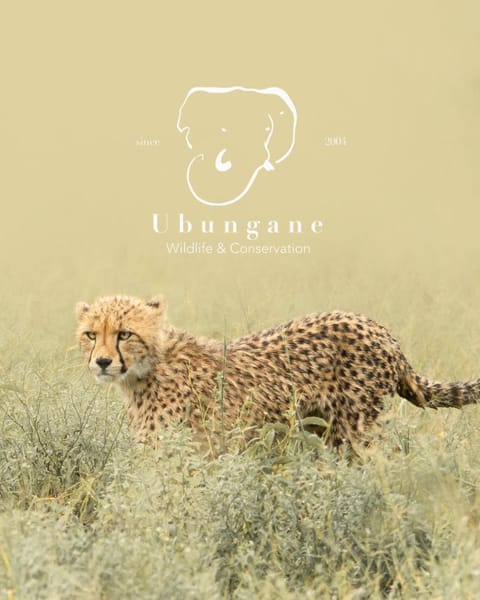 Property logo or sign, Animals