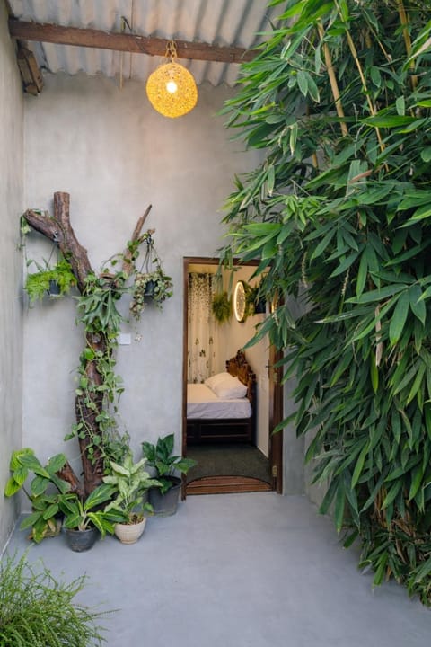 Property building, Garden