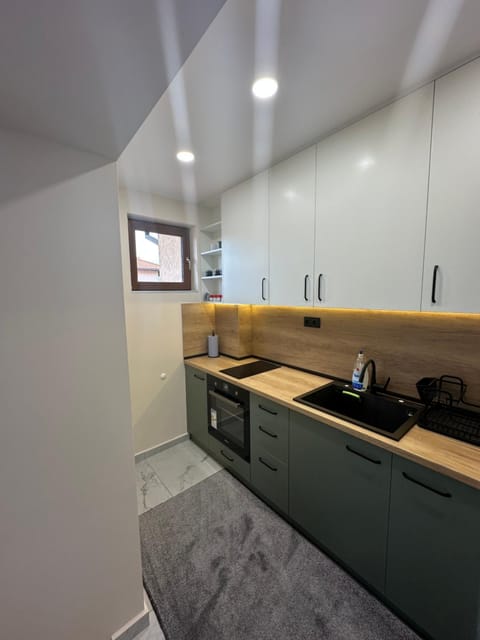 Martin's Apartment Apartment in Bansko