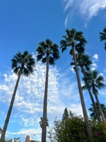 El Paraíso Villa in Benalmadena
