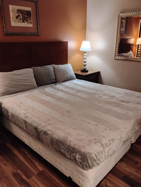 Gated 1 King BedRoom 1 Bath Apt with Full Kitchen 127 Apartment in Baton Rouge