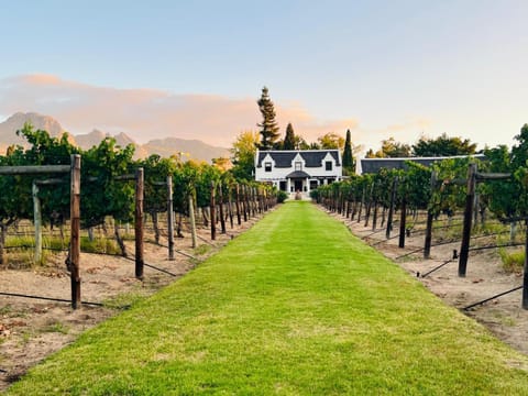 Natural landscape, Mountain view