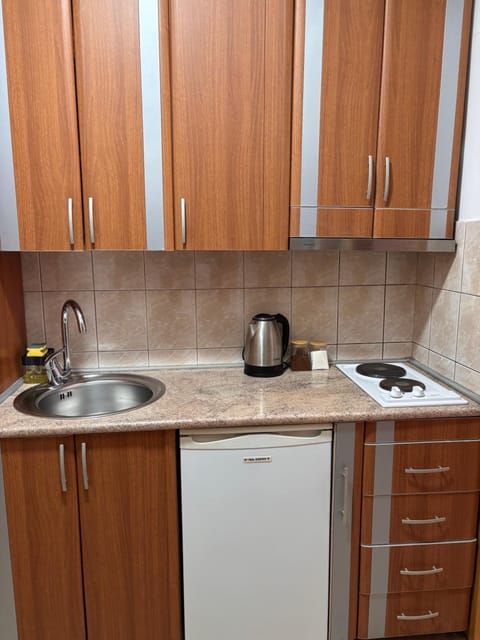 Coffee/tea facilities, Kitchen or kitchenette, minibar, stove