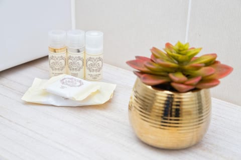 BESTVILLAS Âncora Rio Apartment in Vila Praia de Ancora