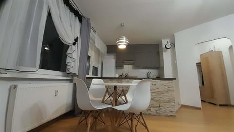 Kitchen or kitchenette, Dining area, oven