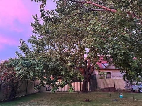 Guest House in East Devonport House in Devonport
