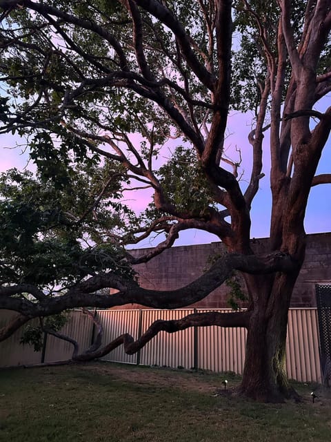 Guest House in East Devonport House in Devonport