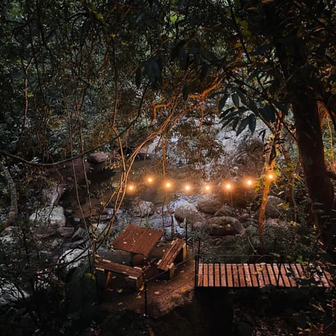 Night, Natural landscape, Garden, Garden view, River view, Drinks
