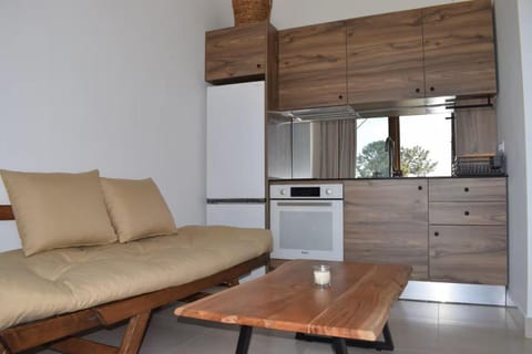 Living room, kitchen