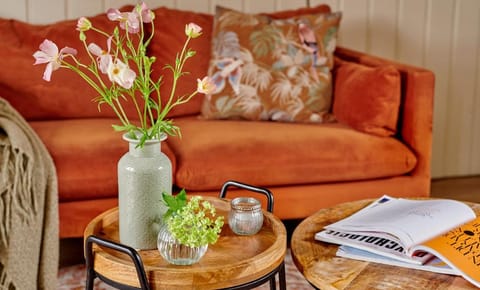 Vakantiewoningen Erfgoedlogies D'Ouffenhoff Apartment in Venlo