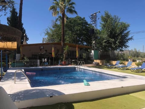 Day, Garden view, Swimming pool, sunbed