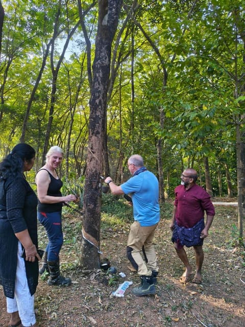 People, Natural landscape, group of guests