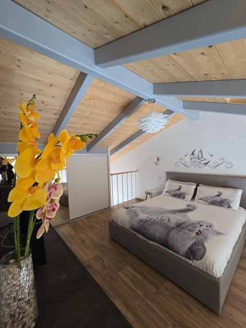 marinella house 2 Apartment in Sarzana