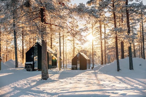 Natural landscape, Winter, Sunrise