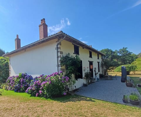 Property building, Spring, Day, Garden, Garden view