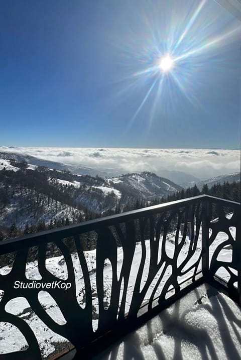 Day, Natural landscape, Winter, View (from property/room), Balcony/Terrace, Mountain view