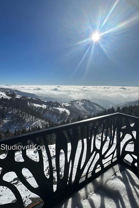 Natural landscape, Winter, View (from property/room), Balcony/Terrace, Mountain view