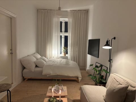 Bed, TV and multimedia, Living room, Photo of the whole room, Seating area, Bedroom