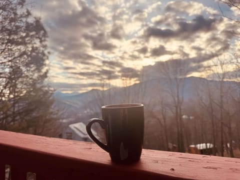 ONE Beary Good View 3BR-2BA in Gatlinburg Sleeps 9 House in Gatlinburg