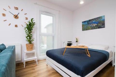 Bed, Living room, Photo of the whole room, Seating area, Bedroom